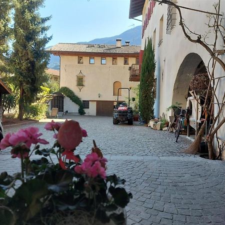 Ferienwohnung Ansitz Von Wohlgemuth Salurn Exterior foto