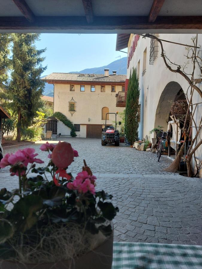 Ferienwohnung Ansitz Von Wohlgemuth Salurn Exterior foto